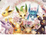 Fans Eevee evolution