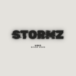 StormZ Factory