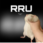 Roundy rats United