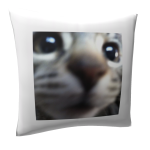 Pillow With Cute Cat