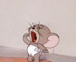 あんあやなみ