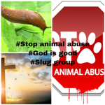 STOP ANIMAL ABUSE!!! LOVE ANIMALS!!!! :)