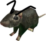Rats Unite!!!