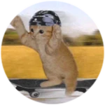 No Skate Roads
