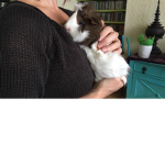 Paww
