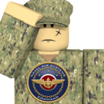 - The United States Naval Air Force -