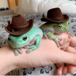 - frog nation -