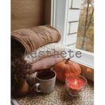 Aesthete x
