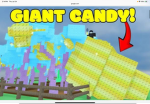 Candy blossom fan club