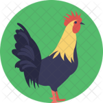 The Roosters lol