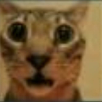 Awesome Kittenz