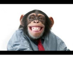 Funky Monkey Clothing.