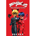 lady bug and cat noir club