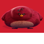 HE DA BIGGEST BIRD