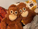 The good and happy bears