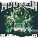 MUDVEIN