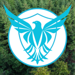 Evergreen Security Operations