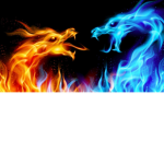 Deadly Dragon Karate