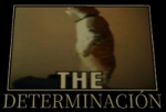 Comunity Meu deus xd