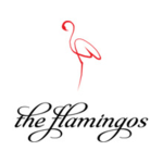 The Flamingos