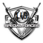 Tactical Intervention Group [T.I.G]