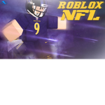 NFL Fans / Collage Football Fans