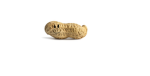 Peanuts Official Group
