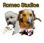 Romeo Studioz