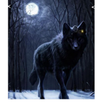 The dark wolf's