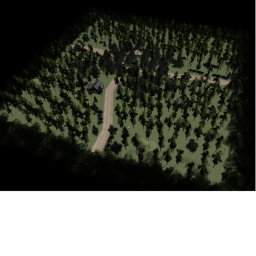 Dark Forest game