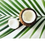 Coconut..Twins