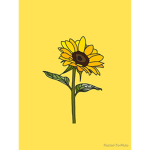 Cute sunflowers :3