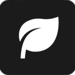 freshfood Corporation