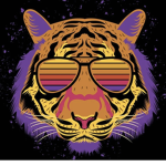 Tigerboy11g