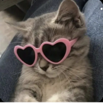Kitty’s Party