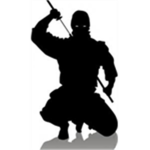 TNE (The Ninja Empire)