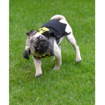 morepuglove