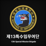 ROKAㅣ13th Special Mission Brigade