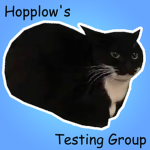 Hopplow's Development Testing Group