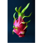 THE DRAGON FRUITS