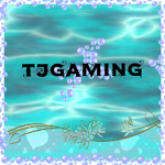 Tj gaming