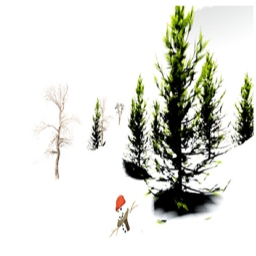 The Winter - Snow...