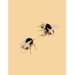 Sylvie’s bumblebeez
