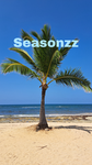 Seasonzz