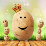 The Potato Army Fan Club