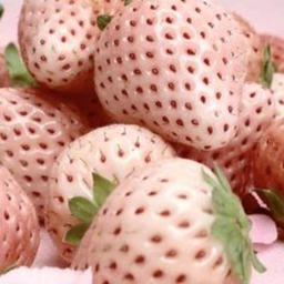 ⊹˚ 🍓