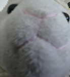 Fluffy Lamb's Games