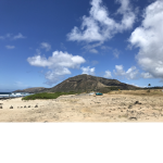 Bloxy Hawaii