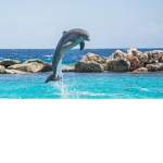 Las sirenas si existen