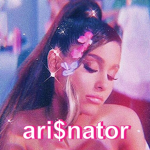 ari$nator